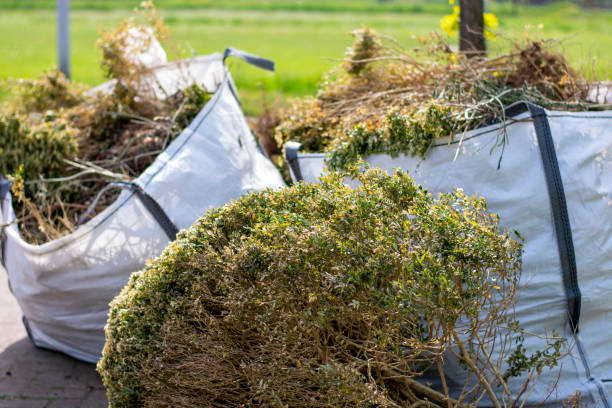 Shed Removal in Batavia, IL